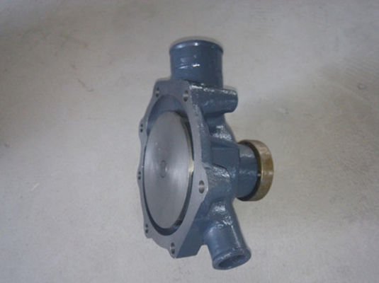 China original WATER PUMP 1215 9779  , engine spare parts  for 226B engine supplier